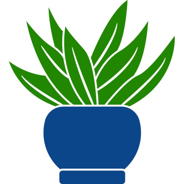 Succulent Plant 2 Thumbnail